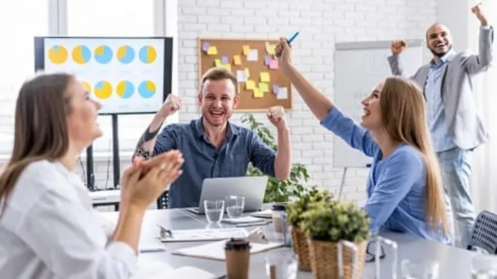 Efficacité Professionnelle
