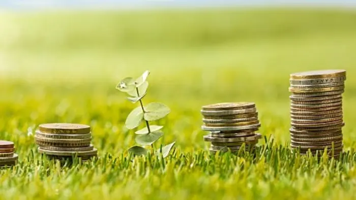 Finance durable : Définition, enjeux