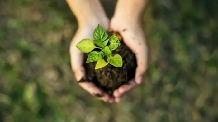 environnement 