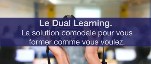 Dual Learning