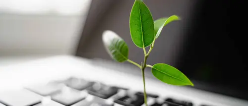 publication_et_certification_des_informations_en_matiere_de_durabilite_et_obligations_environnementales