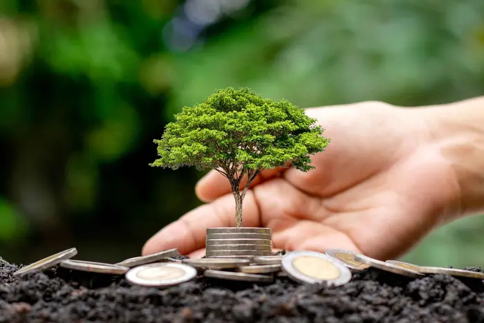 finance_durable_les_rapports_2022_de_l_amf