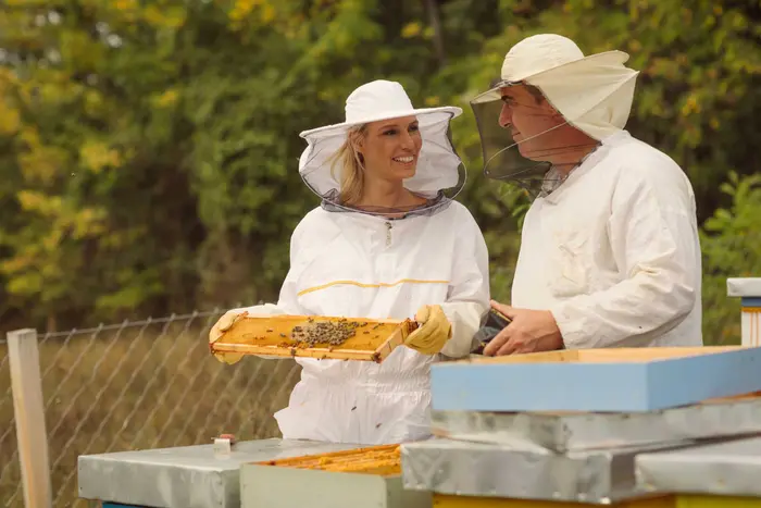 Apiculture 