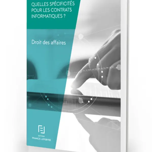Image LB Contrat informatique